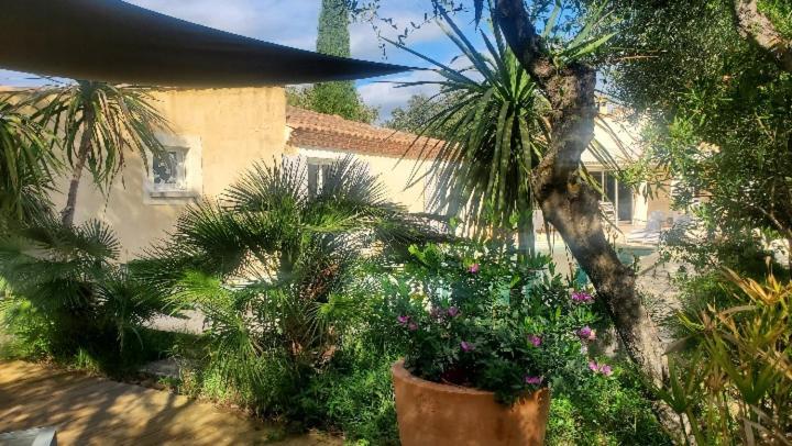Le Clos Olives Comps  Екстериор снимка