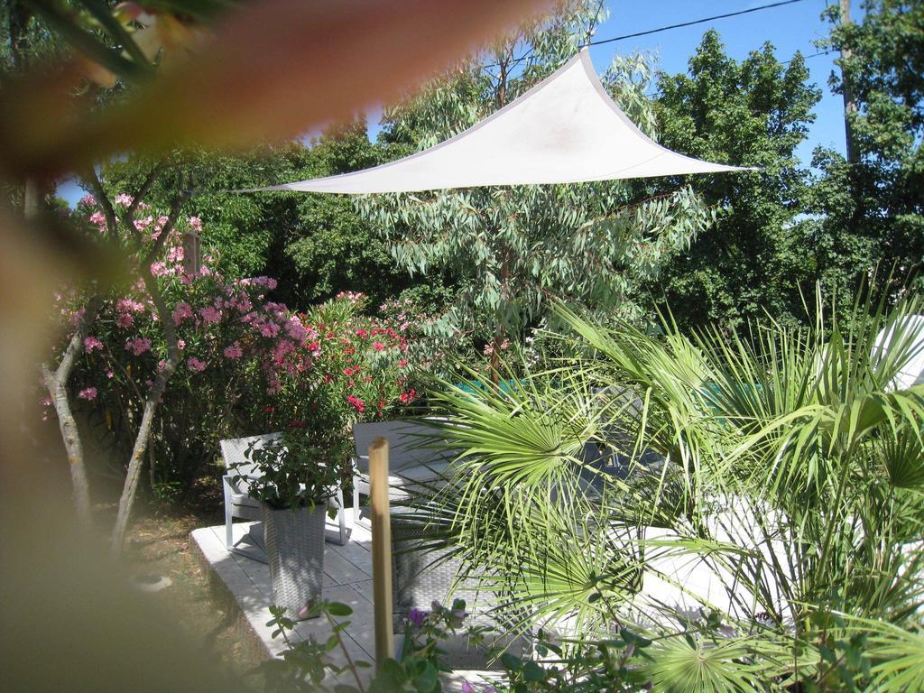 Le Clos Olives Comps  Стая снимка