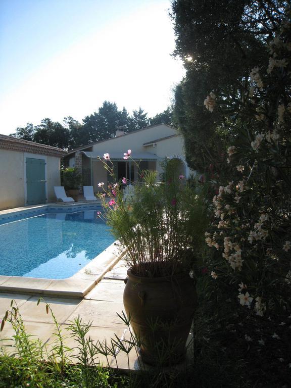 Le Clos Olives Comps  Стая снимка