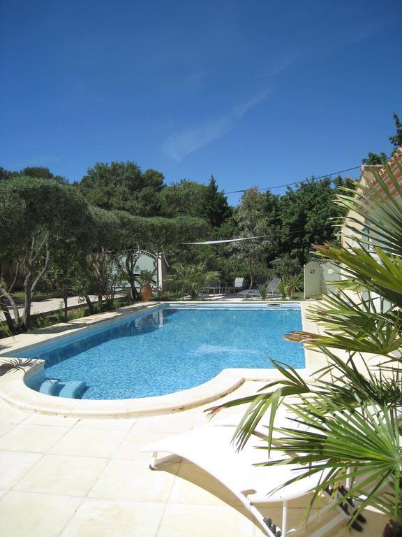 Le Clos Olives Comps  Стая снимка